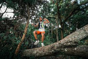 BIB: 
                            <button type="button" onclick="openModal(25525698)" class="btn btn-primary btn-sm float-right btn-popup" data-toggle="modal" data-target=".modal-high-quality">
                        <i class="fas fa-shopping-cart"></i> Add to Cart
                    </button>
                                            <button type="button" onclick="isThisMe(25525698, true)" class="btn btn-success btn-sm float-right btn-popup btn-isme hidden" data-toggle="tooltip" data-placement="bottom" title="นี่คือรูปของคุณใช่ไหม คลิกที่นี่เพื่อเอาเข้าอัลบั้ม">
                        <i class="fas fa-plus"></i> Add to album
                    </button>
                    <button type="button" onclick="isThisMe(25525698, false)" class="btn btn-warning btn-sm float-right btn-popup btn-isnotme hidden">
                        <i class="fas fa-ban"></i> Remove from album
                    </button>