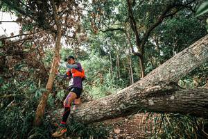 BIB: 
                            <button type="button" onclick="openModal(25537261)" class="btn btn-primary btn-sm float-right btn-popup" data-toggle="modal" data-target=".modal-high-quality">
                        <i class="fas fa-shopping-cart"></i> Add to Cart
                    </button>
                                            <button type="button" onclick="isThisMe(25537261, true)" class="btn btn-success btn-sm float-right btn-popup btn-isme hidden" data-toggle="tooltip" data-placement="bottom" title="นี่คือรูปของคุณใช่ไหม คลิกที่นี่เพื่อเอาเข้าอัลบั้ม">
                        <i class="fas fa-plus"></i> Add to album
                    </button>
                    <button type="button" onclick="isThisMe(25537261, false)" class="btn btn-warning btn-sm float-right btn-popup btn-isnotme hidden">
                        <i class="fas fa-ban"></i> Remove from album
                    </button>