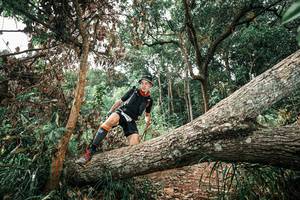 BIB: 
                            <button type="button" onclick="openModal(25545007)" class="btn btn-primary btn-sm float-right btn-popup" data-toggle="modal" data-target=".modal-high-quality">
                        <i class="fas fa-shopping-cart"></i> Add to Cart
                    </button>
                                            <button type="button" onclick="isThisMe(25545007, true)" class="btn btn-success btn-sm float-right btn-popup btn-isme hidden" data-toggle="tooltip" data-placement="bottom" title="นี่คือรูปของคุณใช่ไหม คลิกที่นี่เพื่อเอาเข้าอัลบั้ม">
                        <i class="fas fa-plus"></i> Add to album
                    </button>
                    <button type="button" onclick="isThisMe(25545007, false)" class="btn btn-warning btn-sm float-right btn-popup btn-isnotme hidden">
                        <i class="fas fa-ban"></i> Remove from album
                    </button>