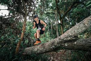 BIB: 
                            <button type="button" onclick="openModal(25527970)" class="btn btn-primary btn-sm float-right btn-popup" data-toggle="modal" data-target=".modal-high-quality">
                        <i class="fas fa-shopping-cart"></i> Add to Cart
                    </button>
                                            <button type="button" onclick="isThisMe(25527970, true)" class="btn btn-success btn-sm float-right btn-popup btn-isme hidden" data-toggle="tooltip" data-placement="bottom" title="นี่คือรูปของคุณใช่ไหม คลิกที่นี่เพื่อเอาเข้าอัลบั้ม">
                        <i class="fas fa-plus"></i> Add to album
                    </button>
                    <button type="button" onclick="isThisMe(25527970, false)" class="btn btn-warning btn-sm float-right btn-popup btn-isnotme hidden">
                        <i class="fas fa-ban"></i> Remove from album
                    </button>