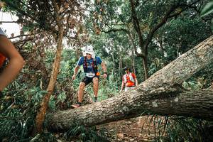 BIB: 
                            <button type="button" onclick="openModal(25543597)" class="btn btn-primary btn-sm float-right btn-popup" data-toggle="modal" data-target=".modal-high-quality">
                        <i class="fas fa-shopping-cart"></i> Add to Cart
                    </button>
                                            <button type="button" onclick="isThisMe(25543597, true)" class="btn btn-success btn-sm float-right btn-popup btn-isme hidden" data-toggle="tooltip" data-placement="bottom" title="นี่คือรูปของคุณใช่ไหม คลิกที่นี่เพื่อเอาเข้าอัลบั้ม">
                        <i class="fas fa-plus"></i> Add to album
                    </button>
                    <button type="button" onclick="isThisMe(25543597, false)" class="btn btn-warning btn-sm float-right btn-popup btn-isnotme hidden">
                        <i class="fas fa-ban"></i> Remove from album
                    </button>