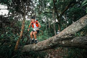 BIB: 
                            <button type="button" onclick="openModal(25526268)" class="btn btn-primary btn-sm float-right btn-popup" data-toggle="modal" data-target=".modal-high-quality">
                        <i class="fas fa-shopping-cart"></i> Add to Cart
                    </button>
                                            <button type="button" onclick="isThisMe(25526268, true)" class="btn btn-success btn-sm float-right btn-popup btn-isme hidden" data-toggle="tooltip" data-placement="bottom" title="นี่คือรูปของคุณใช่ไหม คลิกที่นี่เพื่อเอาเข้าอัลบั้ม">
                        <i class="fas fa-plus"></i> Add to album
                    </button>
                    <button type="button" onclick="isThisMe(25526268, false)" class="btn btn-warning btn-sm float-right btn-popup btn-isnotme hidden">
                        <i class="fas fa-ban"></i> Remove from album
                    </button>