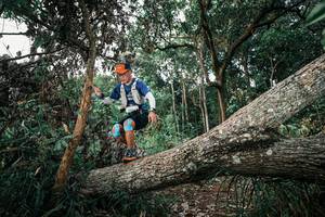 BIB: 
                            <button type="button" onclick="openModal(25527336)" class="btn btn-primary btn-sm float-right btn-popup" data-toggle="modal" data-target=".modal-high-quality">
                        <i class="fas fa-shopping-cart"></i> Add to Cart
                    </button>
                                            <button type="button" onclick="isThisMe(25527336, true)" class="btn btn-success btn-sm float-right btn-popup btn-isme hidden" data-toggle="tooltip" data-placement="bottom" title="นี่คือรูปของคุณใช่ไหม คลิกที่นี่เพื่อเอาเข้าอัลบั้ม">
                        <i class="fas fa-plus"></i> Add to album
                    </button>
                    <button type="button" onclick="isThisMe(25527336, false)" class="btn btn-warning btn-sm float-right btn-popup btn-isnotme hidden">
                        <i class="fas fa-ban"></i> Remove from album
                    </button>