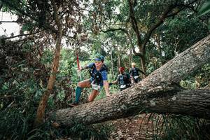 BIB: 
                            <button type="button" onclick="openModal(25532934)" class="btn btn-primary btn-sm float-right btn-popup" data-toggle="modal" data-target=".modal-high-quality">
                        <i class="fas fa-shopping-cart"></i> Add to Cart
                    </button>
                                            <button type="button" onclick="isThisMe(25532934, true)" class="btn btn-success btn-sm float-right btn-popup btn-isme hidden" data-toggle="tooltip" data-placement="bottom" title="นี่คือรูปของคุณใช่ไหม คลิกที่นี่เพื่อเอาเข้าอัลบั้ม">
                        <i class="fas fa-plus"></i> Add to album
                    </button>
                    <button type="button" onclick="isThisMe(25532934, false)" class="btn btn-warning btn-sm float-right btn-popup btn-isnotme hidden">
                        <i class="fas fa-ban"></i> Remove from album
                    </button>