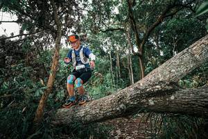 BIB: 
                            <button type="button" onclick="openModal(25527345)" class="btn btn-primary btn-sm float-right btn-popup" data-toggle="modal" data-target=".modal-high-quality">
                        <i class="fas fa-shopping-cart"></i> Add to Cart
                    </button>
                                            <button type="button" onclick="isThisMe(25527345, true)" class="btn btn-success btn-sm float-right btn-popup btn-isme hidden" data-toggle="tooltip" data-placement="bottom" title="นี่คือรูปของคุณใช่ไหม คลิกที่นี่เพื่อเอาเข้าอัลบั้ม">
                        <i class="fas fa-plus"></i> Add to album
                    </button>
                    <button type="button" onclick="isThisMe(25527345, false)" class="btn btn-warning btn-sm float-right btn-popup btn-isnotme hidden">
                        <i class="fas fa-ban"></i> Remove from album
                    </button>