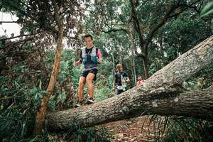 BIB: 
                            <button type="button" onclick="openModal(25544829)" class="btn btn-primary btn-sm float-right btn-popup" data-toggle="modal" data-target=".modal-high-quality">
                        <i class="fas fa-shopping-cart"></i> Add to Cart
                    </button>
                                            <button type="button" onclick="isThisMe(25544829, true)" class="btn btn-success btn-sm float-right btn-popup btn-isme hidden" data-toggle="tooltip" data-placement="bottom" title="นี่คือรูปของคุณใช่ไหม คลิกที่นี่เพื่อเอาเข้าอัลบั้ม">
                        <i class="fas fa-plus"></i> Add to album
                    </button>
                    <button type="button" onclick="isThisMe(25544829, false)" class="btn btn-warning btn-sm float-right btn-popup btn-isnotme hidden">
                        <i class="fas fa-ban"></i> Remove from album
                    </button>