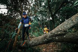 BIB: 
                            <button type="button" onclick="openModal(25550392)" class="btn btn-primary btn-sm float-right btn-popup" data-toggle="modal" data-target=".modal-high-quality">
                        <i class="fas fa-shopping-cart"></i> Add to Cart
                    </button>
                                            <button type="button" onclick="isThisMe(25550392, true)" class="btn btn-success btn-sm float-right btn-popup btn-isme hidden" data-toggle="tooltip" data-placement="bottom" title="นี่คือรูปของคุณใช่ไหม คลิกที่นี่เพื่อเอาเข้าอัลบั้ม">
                        <i class="fas fa-plus"></i> Add to album
                    </button>
                    <button type="button" onclick="isThisMe(25550392, false)" class="btn btn-warning btn-sm float-right btn-popup btn-isnotme hidden">
                        <i class="fas fa-ban"></i> Remove from album
                    </button>