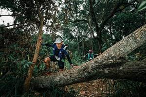 BIB: 
                            <button type="button" onclick="openModal(25550619)" class="btn btn-primary btn-sm float-right btn-popup" data-toggle="modal" data-target=".modal-high-quality">
                        <i class="fas fa-shopping-cart"></i> Add to Cart
                    </button>
                                            <button type="button" onclick="isThisMe(25550619, true)" class="btn btn-success btn-sm float-right btn-popup btn-isme hidden" data-toggle="tooltip" data-placement="bottom" title="นี่คือรูปของคุณใช่ไหม คลิกที่นี่เพื่อเอาเข้าอัลบั้ม">
                        <i class="fas fa-plus"></i> Add to album
                    </button>
                    <button type="button" onclick="isThisMe(25550619, false)" class="btn btn-warning btn-sm float-right btn-popup btn-isnotme hidden">
                        <i class="fas fa-ban"></i> Remove from album
                    </button>