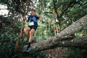 BIB: 
                            <button type="button" onclick="openModal(25527659)" class="btn btn-primary btn-sm float-right btn-popup" data-toggle="modal" data-target=".modal-high-quality">
                        <i class="fas fa-shopping-cart"></i> Add to Cart
                    </button>
                                            <button type="button" onclick="isThisMe(25527659, true)" class="btn btn-success btn-sm float-right btn-popup btn-isme hidden" data-toggle="tooltip" data-placement="bottom" title="นี่คือรูปของคุณใช่ไหม คลิกที่นี่เพื่อเอาเข้าอัลบั้ม">
                        <i class="fas fa-plus"></i> Add to album
                    </button>
                    <button type="button" onclick="isThisMe(25527659, false)" class="btn btn-warning btn-sm float-right btn-popup btn-isnotme hidden">
                        <i class="fas fa-ban"></i> Remove from album
                    </button>