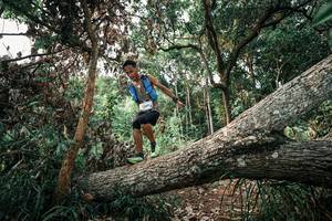 BIB: 
                            <button type="button" onclick="openModal(25533227)" class="btn btn-primary btn-sm float-right btn-popup" data-toggle="modal" data-target=".modal-high-quality">
                        <i class="fas fa-shopping-cart"></i> Add to Cart
                    </button>
                                            <button type="button" onclick="isThisMe(25533227, true)" class="btn btn-success btn-sm float-right btn-popup btn-isme hidden" data-toggle="tooltip" data-placement="bottom" title="นี่คือรูปของคุณใช่ไหม คลิกที่นี่เพื่อเอาเข้าอัลบั้ม">
                        <i class="fas fa-plus"></i> Add to album
                    </button>
                    <button type="button" onclick="isThisMe(25533227, false)" class="btn btn-warning btn-sm float-right btn-popup btn-isnotme hidden">
                        <i class="fas fa-ban"></i> Remove from album
                    </button>