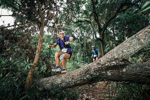 BIB: 
                            <button type="button" onclick="openModal(25535547)" class="btn btn-primary btn-sm float-right btn-popup" data-toggle="modal" data-target=".modal-high-quality">
                        <i class="fas fa-shopping-cart"></i> Add to Cart
                    </button>
                                            <button type="button" onclick="isThisMe(25535547, true)" class="btn btn-success btn-sm float-right btn-popup btn-isme hidden" data-toggle="tooltip" data-placement="bottom" title="นี่คือรูปของคุณใช่ไหม คลิกที่นี่เพื่อเอาเข้าอัลบั้ม">
                        <i class="fas fa-plus"></i> Add to album
                    </button>
                    <button type="button" onclick="isThisMe(25535547, false)" class="btn btn-warning btn-sm float-right btn-popup btn-isnotme hidden">
                        <i class="fas fa-ban"></i> Remove from album
                    </button>