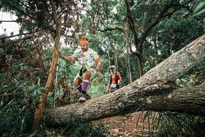 BIB: 
                            <button type="button" onclick="openModal(25544732)" class="btn btn-primary btn-sm float-right btn-popup" data-toggle="modal" data-target=".modal-high-quality">
                        <i class="fas fa-shopping-cart"></i> Add to Cart
                    </button>
                                            <button type="button" onclick="isThisMe(25544732, true)" class="btn btn-success btn-sm float-right btn-popup btn-isme hidden" data-toggle="tooltip" data-placement="bottom" title="นี่คือรูปของคุณใช่ไหม คลิกที่นี่เพื่อเอาเข้าอัลบั้ม">
                        <i class="fas fa-plus"></i> Add to album
                    </button>
                    <button type="button" onclick="isThisMe(25544732, false)" class="btn btn-warning btn-sm float-right btn-popup btn-isnotme hidden">
                        <i class="fas fa-ban"></i> Remove from album
                    </button>