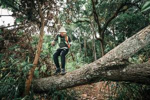 BIB: 
                            <button type="button" onclick="openModal(25545117)" class="btn btn-primary btn-sm float-right btn-popup" data-toggle="modal" data-target=".modal-high-quality">
                        <i class="fas fa-shopping-cart"></i> Add to Cart
                    </button>
                                            <button type="button" onclick="isThisMe(25545117, true)" class="btn btn-success btn-sm float-right btn-popup btn-isme hidden" data-toggle="tooltip" data-placement="bottom" title="นี่คือรูปของคุณใช่ไหม คลิกที่นี่เพื่อเอาเข้าอัลบั้ม">
                        <i class="fas fa-plus"></i> Add to album
                    </button>
                    <button type="button" onclick="isThisMe(25545117, false)" class="btn btn-warning btn-sm float-right btn-popup btn-isnotme hidden">
                        <i class="fas fa-ban"></i> Remove from album
                    </button>