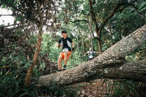 BIB: 
                            <button type="button" onclick="openModal(25528974)" class="btn btn-primary btn-sm float-right btn-popup" data-toggle="modal" data-target=".modal-high-quality">
                        <i class="fas fa-shopping-cart"></i> Add to Cart
                    </button>
                                            <button type="button" onclick="isThisMe(25528974, true)" class="btn btn-success btn-sm float-right btn-popup btn-isme hidden" data-toggle="tooltip" data-placement="bottom" title="นี่คือรูปของคุณใช่ไหม คลิกที่นี่เพื่อเอาเข้าอัลบั้ม">
                        <i class="fas fa-plus"></i> Add to album
                    </button>
                    <button type="button" onclick="isThisMe(25528974, false)" class="btn btn-warning btn-sm float-right btn-popup btn-isnotme hidden">
                        <i class="fas fa-ban"></i> Remove from album
                    </button>