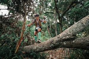 BIB: 
                            <button type="button" onclick="openModal(25530241)" class="btn btn-primary btn-sm float-right btn-popup" data-toggle="modal" data-target=".modal-high-quality">
                        <i class="fas fa-shopping-cart"></i> Add to Cart
                    </button>
                                            <button type="button" onclick="isThisMe(25530241, true)" class="btn btn-success btn-sm float-right btn-popup btn-isme hidden" data-toggle="tooltip" data-placement="bottom" title="นี่คือรูปของคุณใช่ไหม คลิกที่นี่เพื่อเอาเข้าอัลบั้ม">
                        <i class="fas fa-plus"></i> Add to album
                    </button>
                    <button type="button" onclick="isThisMe(25530241, false)" class="btn btn-warning btn-sm float-right btn-popup btn-isnotme hidden">
                        <i class="fas fa-ban"></i> Remove from album
                    </button>