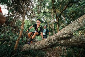 BIB: 
                            <button type="button" onclick="openModal(25527116)" class="btn btn-primary btn-sm float-right btn-popup" data-toggle="modal" data-target=".modal-high-quality">
                        <i class="fas fa-shopping-cart"></i> Add to Cart
                    </button>
                                            <button type="button" onclick="isThisMe(25527116, true)" class="btn btn-success btn-sm float-right btn-popup btn-isme hidden" data-toggle="tooltip" data-placement="bottom" title="นี่คือรูปของคุณใช่ไหม คลิกที่นี่เพื่อเอาเข้าอัลบั้ม">
                        <i class="fas fa-plus"></i> Add to album
                    </button>
                    <button type="button" onclick="isThisMe(25527116, false)" class="btn btn-warning btn-sm float-right btn-popup btn-isnotme hidden">
                        <i class="fas fa-ban"></i> Remove from album
                    </button>