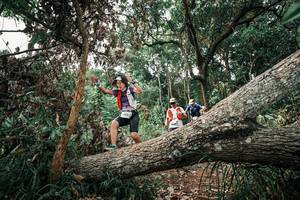 BIB: 
                            <button type="button" onclick="openModal(25531457)" class="btn btn-primary btn-sm float-right btn-popup" data-toggle="modal" data-target=".modal-high-quality">
                        <i class="fas fa-shopping-cart"></i> Add to Cart
                    </button>
                                            <button type="button" onclick="isThisMe(25531457, true)" class="btn btn-success btn-sm float-right btn-popup btn-isme hidden" data-toggle="tooltip" data-placement="bottom" title="นี่คือรูปของคุณใช่ไหม คลิกที่นี่เพื่อเอาเข้าอัลบั้ม">
                        <i class="fas fa-plus"></i> Add to album
                    </button>
                    <button type="button" onclick="isThisMe(25531457, false)" class="btn btn-warning btn-sm float-right btn-popup btn-isnotme hidden">
                        <i class="fas fa-ban"></i> Remove from album
                    </button>