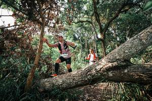 BIB: 
                            <button type="button" onclick="openModal(25534495)" class="btn btn-primary btn-sm float-right btn-popup" data-toggle="modal" data-target=".modal-high-quality">
                        <i class="fas fa-shopping-cart"></i> Add to Cart
                    </button>
                                            <button type="button" onclick="isThisMe(25534495, true)" class="btn btn-success btn-sm float-right btn-popup btn-isme hidden" data-toggle="tooltip" data-placement="bottom" title="นี่คือรูปของคุณใช่ไหม คลิกที่นี่เพื่อเอาเข้าอัลบั้ม">
                        <i class="fas fa-plus"></i> Add to album
                    </button>
                    <button type="button" onclick="isThisMe(25534495, false)" class="btn btn-warning btn-sm float-right btn-popup btn-isnotme hidden">
                        <i class="fas fa-ban"></i> Remove from album
                    </button>