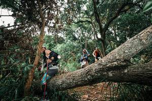 BIB: 
                            <button type="button" onclick="openModal(25548157)" class="btn btn-primary btn-sm float-right btn-popup" data-toggle="modal" data-target=".modal-high-quality">
                        <i class="fas fa-shopping-cart"></i> Add to Cart
                    </button>
                                            <button type="button" onclick="isThisMe(25548157, true)" class="btn btn-success btn-sm float-right btn-popup btn-isme hidden" data-toggle="tooltip" data-placement="bottom" title="นี่คือรูปของคุณใช่ไหม คลิกที่นี่เพื่อเอาเข้าอัลบั้ม">
                        <i class="fas fa-plus"></i> Add to album
                    </button>
                    <button type="button" onclick="isThisMe(25548157, false)" class="btn btn-warning btn-sm float-right btn-popup btn-isnotme hidden">
                        <i class="fas fa-ban"></i> Remove from album
                    </button>