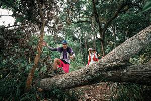 BIB: 
                            <button type="button" onclick="openModal(25532373)" class="btn btn-primary btn-sm float-right btn-popup" data-toggle="modal" data-target=".modal-high-quality">
                        <i class="fas fa-shopping-cart"></i> Add to Cart
                    </button>
                                            <button type="button" onclick="isThisMe(25532373, true)" class="btn btn-success btn-sm float-right btn-popup btn-isme hidden" data-toggle="tooltip" data-placement="bottom" title="นี่คือรูปของคุณใช่ไหม คลิกที่นี่เพื่อเอาเข้าอัลบั้ม">
                        <i class="fas fa-plus"></i> Add to album
                    </button>
                    <button type="button" onclick="isThisMe(25532373, false)" class="btn btn-warning btn-sm float-right btn-popup btn-isnotme hidden">
                        <i class="fas fa-ban"></i> Remove from album
                    </button>