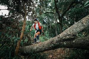 BIB: 
                            <button type="button" onclick="openModal(25548801)" class="btn btn-primary btn-sm float-right btn-popup" data-toggle="modal" data-target=".modal-high-quality">
                        <i class="fas fa-shopping-cart"></i> Add to Cart
                    </button>
                                            <button type="button" onclick="isThisMe(25548801, true)" class="btn btn-success btn-sm float-right btn-popup btn-isme hidden" data-toggle="tooltip" data-placement="bottom" title="นี่คือรูปของคุณใช่ไหม คลิกที่นี่เพื่อเอาเข้าอัลบั้ม">
                        <i class="fas fa-plus"></i> Add to album
                    </button>
                    <button type="button" onclick="isThisMe(25548801, false)" class="btn btn-warning btn-sm float-right btn-popup btn-isnotme hidden">
                        <i class="fas fa-ban"></i> Remove from album
                    </button>