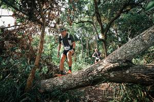 BIB: 
                            <button type="button" onclick="openModal(25534650)" class="btn btn-primary btn-sm float-right btn-popup" data-toggle="modal" data-target=".modal-high-quality">
                        <i class="fas fa-shopping-cart"></i> Add to Cart
                    </button>
                                            <button type="button" onclick="isThisMe(25534650, true)" class="btn btn-success btn-sm float-right btn-popup btn-isme hidden" data-toggle="tooltip" data-placement="bottom" title="นี่คือรูปของคุณใช่ไหม คลิกที่นี่เพื่อเอาเข้าอัลบั้ม">
                        <i class="fas fa-plus"></i> Add to album
                    </button>
                    <button type="button" onclick="isThisMe(25534650, false)" class="btn btn-warning btn-sm float-right btn-popup btn-isnotme hidden">
                        <i class="fas fa-ban"></i> Remove from album
                    </button>