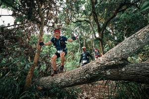 BIB: 
                            <button type="button" onclick="openModal(25533020)" class="btn btn-primary btn-sm float-right btn-popup" data-toggle="modal" data-target=".modal-high-quality">
                        <i class="fas fa-shopping-cart"></i> Add to Cart
                    </button>
                                            <button type="button" onclick="isThisMe(25533020, true)" class="btn btn-success btn-sm float-right btn-popup btn-isme hidden" data-toggle="tooltip" data-placement="bottom" title="นี่คือรูปของคุณใช่ไหม คลิกที่นี่เพื่อเอาเข้าอัลบั้ม">
                        <i class="fas fa-plus"></i> Add to album
                    </button>
                    <button type="button" onclick="isThisMe(25533020, false)" class="btn btn-warning btn-sm float-right btn-popup btn-isnotme hidden">
                        <i class="fas fa-ban"></i> Remove from album
                    </button>