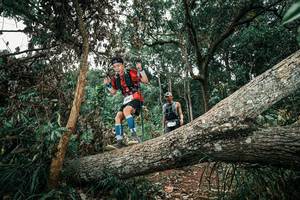 BIB: 
                            <button type="button" onclick="openModal(25541738)" class="btn btn-primary btn-sm float-right btn-popup" data-toggle="modal" data-target=".modal-high-quality">
                        <i class="fas fa-shopping-cart"></i> Add to Cart
                    </button>
                                            <button type="button" onclick="isThisMe(25541738, true)" class="btn btn-success btn-sm float-right btn-popup btn-isme hidden" data-toggle="tooltip" data-placement="bottom" title="นี่คือรูปของคุณใช่ไหม คลิกที่นี่เพื่อเอาเข้าอัลบั้ม">
                        <i class="fas fa-plus"></i> Add to album
                    </button>
                    <button type="button" onclick="isThisMe(25541738, false)" class="btn btn-warning btn-sm float-right btn-popup btn-isnotme hidden">
                        <i class="fas fa-ban"></i> Remove from album
                    </button>