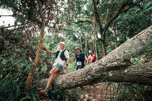 BIB: 
                            <button type="button" onclick="openModal(25529341)" class="btn btn-primary btn-sm float-right btn-popup" data-toggle="modal" data-target=".modal-high-quality">
                        <i class="fas fa-shopping-cart"></i> Add to Cart
                    </button>
                                            <button type="button" onclick="isThisMe(25529341, true)" class="btn btn-success btn-sm float-right btn-popup btn-isme hidden" data-toggle="tooltip" data-placement="bottom" title="นี่คือรูปของคุณใช่ไหม คลิกที่นี่เพื่อเอาเข้าอัลบั้ม">
                        <i class="fas fa-plus"></i> Add to album
                    </button>
                    <button type="button" onclick="isThisMe(25529341, false)" class="btn btn-warning btn-sm float-right btn-popup btn-isnotme hidden">
                        <i class="fas fa-ban"></i> Remove from album
                    </button>