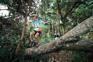 BIB: 
                            <button type="button" onclick="openModal(25526881)" class="btn btn-primary btn-sm float-right btn-popup" data-toggle="modal" data-target=".modal-high-quality">
                        <i class="fas fa-shopping-cart"></i> Add to Cart
                    </button>
                                            <button type="button" onclick="isThisMe(25526881, true)" class="btn btn-success btn-sm float-right btn-popup btn-isme hidden" data-toggle="tooltip" data-placement="bottom" title="นี่คือรูปของคุณใช่ไหม คลิกที่นี่เพื่อเอาเข้าอัลบั้ม">
                        <i class="fas fa-plus"></i> Add to album
                    </button>
                    <button type="button" onclick="isThisMe(25526881, false)" class="btn btn-warning btn-sm float-right btn-popup btn-isnotme hidden">
                        <i class="fas fa-ban"></i> Remove from album
                    </button>