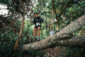 BIB: 
                            <button type="button" onclick="openModal(25526822)" class="btn btn-primary btn-sm float-right btn-popup" data-toggle="modal" data-target=".modal-high-quality">
                        <i class="fas fa-shopping-cart"></i> Add to Cart
                    </button>
                                            <button type="button" onclick="isThisMe(25526822, true)" class="btn btn-success btn-sm float-right btn-popup btn-isme hidden" data-toggle="tooltip" data-placement="bottom" title="นี่คือรูปของคุณใช่ไหม คลิกที่นี่เพื่อเอาเข้าอัลบั้ม">
                        <i class="fas fa-plus"></i> Add to album
                    </button>
                    <button type="button" onclick="isThisMe(25526822, false)" class="btn btn-warning btn-sm float-right btn-popup btn-isnotme hidden">
                        <i class="fas fa-ban"></i> Remove from album
                    </button>