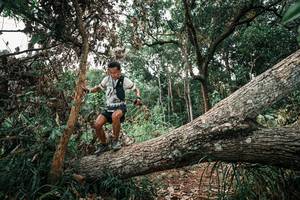 BIB: 
                            <button type="button" onclick="openModal(25530562)" class="btn btn-primary btn-sm float-right btn-popup" data-toggle="modal" data-target=".modal-high-quality">
                        <i class="fas fa-shopping-cart"></i> Add to Cart
                    </button>
                                            <button type="button" onclick="isThisMe(25530562, true)" class="btn btn-success btn-sm float-right btn-popup btn-isme hidden" data-toggle="tooltip" data-placement="bottom" title="นี่คือรูปของคุณใช่ไหม คลิกที่นี่เพื่อเอาเข้าอัลบั้ม">
                        <i class="fas fa-plus"></i> Add to album
                    </button>
                    <button type="button" onclick="isThisMe(25530562, false)" class="btn btn-warning btn-sm float-right btn-popup btn-isnotme hidden">
                        <i class="fas fa-ban"></i> Remove from album
                    </button>