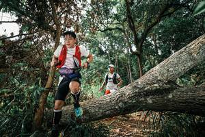 BIB: 
                            <button type="button" onclick="openModal(25549145)" class="btn btn-primary btn-sm float-right btn-popup" data-toggle="modal" data-target=".modal-high-quality">
                        <i class="fas fa-shopping-cart"></i> Add to Cart
                    </button>
                                            <button type="button" onclick="isThisMe(25549145, true)" class="btn btn-success btn-sm float-right btn-popup btn-isme hidden" data-toggle="tooltip" data-placement="bottom" title="นี่คือรูปของคุณใช่ไหม คลิกที่นี่เพื่อเอาเข้าอัลบั้ม">
                        <i class="fas fa-plus"></i> Add to album
                    </button>
                    <button type="button" onclick="isThisMe(25549145, false)" class="btn btn-warning btn-sm float-right btn-popup btn-isnotme hidden">
                        <i class="fas fa-ban"></i> Remove from album
                    </button>