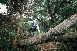 BIB: 
                            <button type="button" onclick="openModal(25545457)" class="btn btn-primary btn-sm float-right btn-popup" data-toggle="modal" data-target=".modal-high-quality">
                        <i class="fas fa-shopping-cart"></i> Add to Cart
                    </button>
                                            <button type="button" onclick="isThisMe(25545457, true)" class="btn btn-success btn-sm float-right btn-popup btn-isme hidden" data-toggle="tooltip" data-placement="bottom" title="นี่คือรูปของคุณใช่ไหม คลิกที่นี่เพื่อเอาเข้าอัลบั้ม">
                        <i class="fas fa-plus"></i> Add to album
                    </button>
                    <button type="button" onclick="isThisMe(25545457, false)" class="btn btn-warning btn-sm float-right btn-popup btn-isnotme hidden">
                        <i class="fas fa-ban"></i> Remove from album
                    </button>