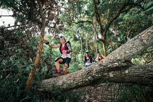 BIB: 
                            <button type="button" onclick="openModal(25527733)" class="btn btn-primary btn-sm float-right btn-popup" data-toggle="modal" data-target=".modal-high-quality">
                        <i class="fas fa-shopping-cart"></i> Add to Cart
                    </button>
                                            <button type="button" onclick="isThisMe(25527733, true)" class="btn btn-success btn-sm float-right btn-popup btn-isme hidden" data-toggle="tooltip" data-placement="bottom" title="นี่คือรูปของคุณใช่ไหม คลิกที่นี่เพื่อเอาเข้าอัลบั้ม">
                        <i class="fas fa-plus"></i> Add to album
                    </button>
                    <button type="button" onclick="isThisMe(25527733, false)" class="btn btn-warning btn-sm float-right btn-popup btn-isnotme hidden">
                        <i class="fas fa-ban"></i> Remove from album
                    </button>