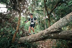 BIB: 
                            <button type="button" onclick="openModal(25529316)" class="btn btn-primary btn-sm float-right btn-popup" data-toggle="modal" data-target=".modal-high-quality">
                        <i class="fas fa-shopping-cart"></i> Add to Cart
                    </button>
                                            <button type="button" onclick="isThisMe(25529316, true)" class="btn btn-success btn-sm float-right btn-popup btn-isme hidden" data-toggle="tooltip" data-placement="bottom" title="นี่คือรูปของคุณใช่ไหม คลิกที่นี่เพื่อเอาเข้าอัลบั้ม">
                        <i class="fas fa-plus"></i> Add to album
                    </button>
                    <button type="button" onclick="isThisMe(25529316, false)" class="btn btn-warning btn-sm float-right btn-popup btn-isnotme hidden">
                        <i class="fas fa-ban"></i> Remove from album
                    </button>