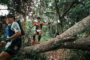 BIB: 
                            <button type="button" onclick="openModal(25530292)" class="btn btn-primary btn-sm float-right btn-popup" data-toggle="modal" data-target=".modal-high-quality">
                        <i class="fas fa-shopping-cart"></i> Add to Cart
                    </button>
                                            <button type="button" onclick="isThisMe(25530292, true)" class="btn btn-success btn-sm float-right btn-popup btn-isme hidden" data-toggle="tooltip" data-placement="bottom" title="นี่คือรูปของคุณใช่ไหม คลิกที่นี่เพื่อเอาเข้าอัลบั้ม">
                        <i class="fas fa-plus"></i> Add to album
                    </button>
                    <button type="button" onclick="isThisMe(25530292, false)" class="btn btn-warning btn-sm float-right btn-popup btn-isnotme hidden">
                        <i class="fas fa-ban"></i> Remove from album
                    </button>