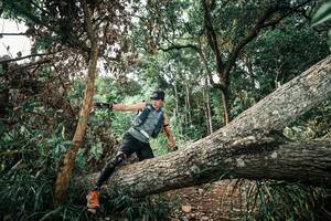 BIB: 
                            <button type="button" onclick="openModal(25538035)" class="btn btn-primary btn-sm float-right btn-popup" data-toggle="modal" data-target=".modal-high-quality">
                        <i class="fas fa-shopping-cart"></i> Add to Cart
                    </button>
                                            <button type="button" onclick="isThisMe(25538035, true)" class="btn btn-success btn-sm float-right btn-popup btn-isme hidden" data-toggle="tooltip" data-placement="bottom" title="นี่คือรูปของคุณใช่ไหม คลิกที่นี่เพื่อเอาเข้าอัลบั้ม">
                        <i class="fas fa-plus"></i> Add to album
                    </button>
                    <button type="button" onclick="isThisMe(25538035, false)" class="btn btn-warning btn-sm float-right btn-popup btn-isnotme hidden">
                        <i class="fas fa-ban"></i> Remove from album
                    </button>