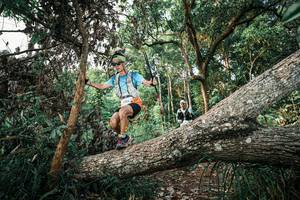 BIB: 
                            <button type="button" onclick="openModal(25526873)" class="btn btn-primary btn-sm float-right btn-popup" data-toggle="modal" data-target=".modal-high-quality">
                        <i class="fas fa-shopping-cart"></i> Add to Cart
                    </button>
                                            <button type="button" onclick="isThisMe(25526873, true)" class="btn btn-success btn-sm float-right btn-popup btn-isme hidden" data-toggle="tooltip" data-placement="bottom" title="นี่คือรูปของคุณใช่ไหม คลิกที่นี่เพื่อเอาเข้าอัลบั้ม">
                        <i class="fas fa-plus"></i> Add to album
                    </button>
                    <button type="button" onclick="isThisMe(25526873, false)" class="btn btn-warning btn-sm float-right btn-popup btn-isnotme hidden">
                        <i class="fas fa-ban"></i> Remove from album
                    </button>