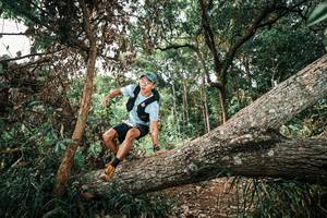 BIB: 
                            <button type="button" onclick="openModal(25537226)" class="btn btn-primary btn-sm float-right btn-popup" data-toggle="modal" data-target=".modal-high-quality">
                        <i class="fas fa-shopping-cart"></i> Add to Cart
                    </button>
                                            <button type="button" onclick="isThisMe(25537226, true)" class="btn btn-success btn-sm float-right btn-popup btn-isme hidden" data-toggle="tooltip" data-placement="bottom" title="นี่คือรูปของคุณใช่ไหม คลิกที่นี่เพื่อเอาเข้าอัลบั้ม">
                        <i class="fas fa-plus"></i> Add to album
                    </button>
                    <button type="button" onclick="isThisMe(25537226, false)" class="btn btn-warning btn-sm float-right btn-popup btn-isnotme hidden">
                        <i class="fas fa-ban"></i> Remove from album
                    </button>