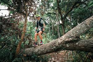 BIB: 
                            <button type="button" onclick="openModal(25533806)" class="btn btn-primary btn-sm float-right btn-popup" data-toggle="modal" data-target=".modal-high-quality">
                        <i class="fas fa-shopping-cart"></i> Add to Cart
                    </button>
                                            <button type="button" onclick="isThisMe(25533806, true)" class="btn btn-success btn-sm float-right btn-popup btn-isme hidden" data-toggle="tooltip" data-placement="bottom" title="นี่คือรูปของคุณใช่ไหม คลิกที่นี่เพื่อเอาเข้าอัลบั้ม">
                        <i class="fas fa-plus"></i> Add to album
                    </button>
                    <button type="button" onclick="isThisMe(25533806, false)" class="btn btn-warning btn-sm float-right btn-popup btn-isnotme hidden">
                        <i class="fas fa-ban"></i> Remove from album
                    </button>