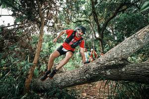 BIB: 
                            <button type="button" onclick="openModal(25543418)" class="btn btn-primary btn-sm float-right btn-popup" data-toggle="modal" data-target=".modal-high-quality">
                        <i class="fas fa-shopping-cart"></i> Add to Cart
                    </button>
                                            <button type="button" onclick="isThisMe(25543418, true)" class="btn btn-success btn-sm float-right btn-popup btn-isme hidden" data-toggle="tooltip" data-placement="bottom" title="นี่คือรูปของคุณใช่ไหม คลิกที่นี่เพื่อเอาเข้าอัลบั้ม">
                        <i class="fas fa-plus"></i> Add to album
                    </button>
                    <button type="button" onclick="isThisMe(25543418, false)" class="btn btn-warning btn-sm float-right btn-popup btn-isnotme hidden">
                        <i class="fas fa-ban"></i> Remove from album
                    </button>