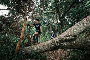 BIB: 
                            <button type="button" onclick="openModal(25536751)" class="btn btn-primary btn-sm float-right btn-popup" data-toggle="modal" data-target=".modal-high-quality">
                        <i class="fas fa-shopping-cart"></i> Add to Cart
                    </button>
                                            <button type="button" onclick="isThisMe(25536751, true)" class="btn btn-success btn-sm float-right btn-popup btn-isme hidden" data-toggle="tooltip" data-placement="bottom" title="นี่คือรูปของคุณใช่ไหม คลิกที่นี่เพื่อเอาเข้าอัลบั้ม">
                        <i class="fas fa-plus"></i> Add to album
                    </button>
                    <button type="button" onclick="isThisMe(25536751, false)" class="btn btn-warning btn-sm float-right btn-popup btn-isnotme hidden">
                        <i class="fas fa-ban"></i> Remove from album
                    </button>