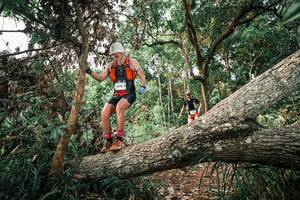 BIB: 
                            <button type="button" onclick="openModal(25527443)" class="btn btn-primary btn-sm float-right btn-popup" data-toggle="modal" data-target=".modal-high-quality">
                        <i class="fas fa-shopping-cart"></i> Add to Cart
                    </button>
                                            <button type="button" onclick="isThisMe(25527443, true)" class="btn btn-success btn-sm float-right btn-popup btn-isme hidden" data-toggle="tooltip" data-placement="bottom" title="นี่คือรูปของคุณใช่ไหม คลิกที่นี่เพื่อเอาเข้าอัลบั้ม">
                        <i class="fas fa-plus"></i> Add to album
                    </button>
                    <button type="button" onclick="isThisMe(25527443, false)" class="btn btn-warning btn-sm float-right btn-popup btn-isnotme hidden">
                        <i class="fas fa-ban"></i> Remove from album
                    </button>