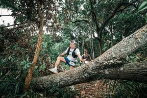 BIB: 
                            <button type="button" onclick="openModal(25541484)" class="btn btn-primary btn-sm float-right btn-popup" data-toggle="modal" data-target=".modal-high-quality">
                        <i class="fas fa-shopping-cart"></i> Add to Cart
                    </button>
                                            <button type="button" onclick="isThisMe(25541484, true)" class="btn btn-success btn-sm float-right btn-popup btn-isme hidden" data-toggle="tooltip" data-placement="bottom" title="นี่คือรูปของคุณใช่ไหม คลิกที่นี่เพื่อเอาเข้าอัลบั้ม">
                        <i class="fas fa-plus"></i> Add to album
                    </button>
                    <button type="button" onclick="isThisMe(25541484, false)" class="btn btn-warning btn-sm float-right btn-popup btn-isnotme hidden">
                        <i class="fas fa-ban"></i> Remove from album
                    </button>