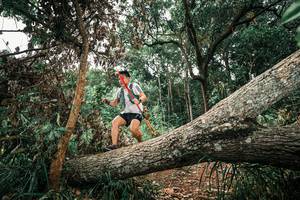 BIB: 
                            <button type="button" onclick="openModal(25546357)" class="btn btn-primary btn-sm float-right btn-popup" data-toggle="modal" data-target=".modal-high-quality">
                        <i class="fas fa-shopping-cart"></i> Add to Cart
                    </button>
                                            <button type="button" onclick="isThisMe(25546357, true)" class="btn btn-success btn-sm float-right btn-popup btn-isme hidden" data-toggle="tooltip" data-placement="bottom" title="นี่คือรูปของคุณใช่ไหม คลิกที่นี่เพื่อเอาเข้าอัลบั้ม">
                        <i class="fas fa-plus"></i> Add to album
                    </button>
                    <button type="button" onclick="isThisMe(25546357, false)" class="btn btn-warning btn-sm float-right btn-popup btn-isnotme hidden">
                        <i class="fas fa-ban"></i> Remove from album
                    </button>