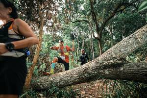 BIB: 
                            <button type="button" onclick="openModal(25541035)" class="btn btn-primary btn-sm float-right btn-popup" data-toggle="modal" data-target=".modal-high-quality">
                        <i class="fas fa-shopping-cart"></i> Add to Cart
                    </button>
                                            <button type="button" onclick="isThisMe(25541035, true)" class="btn btn-success btn-sm float-right btn-popup btn-isme hidden" data-toggle="tooltip" data-placement="bottom" title="นี่คือรูปของคุณใช่ไหม คลิกที่นี่เพื่อเอาเข้าอัลบั้ม">
                        <i class="fas fa-plus"></i> Add to album
                    </button>
                    <button type="button" onclick="isThisMe(25541035, false)" class="btn btn-warning btn-sm float-right btn-popup btn-isnotme hidden">
                        <i class="fas fa-ban"></i> Remove from album
                    </button>