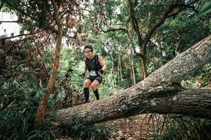 BIB: 
                            <button type="button" onclick="openModal(25532034)" class="btn btn-primary btn-sm float-right btn-popup" data-toggle="modal" data-target=".modal-high-quality">
                        <i class="fas fa-shopping-cart"></i> Add to Cart
                    </button>
                                            <button type="button" onclick="isThisMe(25532034, true)" class="btn btn-success btn-sm float-right btn-popup btn-isme hidden" data-toggle="tooltip" data-placement="bottom" title="นี่คือรูปของคุณใช่ไหม คลิกที่นี่เพื่อเอาเข้าอัลบั้ม">
                        <i class="fas fa-plus"></i> Add to album
                    </button>
                    <button type="button" onclick="isThisMe(25532034, false)" class="btn btn-warning btn-sm float-right btn-popup btn-isnotme hidden">
                        <i class="fas fa-ban"></i> Remove from album
                    </button>