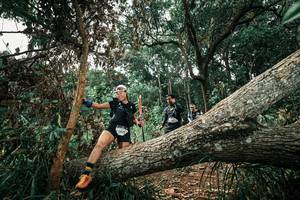 BIB: 
                            <button type="button" onclick="openModal(25549929)" class="btn btn-primary btn-sm float-right btn-popup" data-toggle="modal" data-target=".modal-high-quality">
                        <i class="fas fa-shopping-cart"></i> Add to Cart
                    </button>
                                            <button type="button" onclick="isThisMe(25549929, true)" class="btn btn-success btn-sm float-right btn-popup btn-isme hidden" data-toggle="tooltip" data-placement="bottom" title="นี่คือรูปของคุณใช่ไหม คลิกที่นี่เพื่อเอาเข้าอัลบั้ม">
                        <i class="fas fa-plus"></i> Add to album
                    </button>
                    <button type="button" onclick="isThisMe(25549929, false)" class="btn btn-warning btn-sm float-right btn-popup btn-isnotme hidden">
                        <i class="fas fa-ban"></i> Remove from album
                    </button>