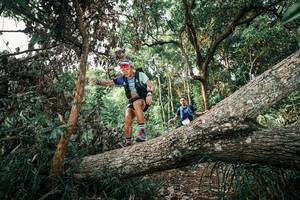 BIB: 
                            <button type="button" onclick="openModal(25527643)" class="btn btn-primary btn-sm float-right btn-popup" data-toggle="modal" data-target=".modal-high-quality">
                        <i class="fas fa-shopping-cart"></i> Add to Cart
                    </button>
                                            <button type="button" onclick="isThisMe(25527643, true)" class="btn btn-success btn-sm float-right btn-popup btn-isme hidden" data-toggle="tooltip" data-placement="bottom" title="นี่คือรูปของคุณใช่ไหม คลิกที่นี่เพื่อเอาเข้าอัลบั้ม">
                        <i class="fas fa-plus"></i> Add to album
                    </button>
                    <button type="button" onclick="isThisMe(25527643, false)" class="btn btn-warning btn-sm float-right btn-popup btn-isnotme hidden">
                        <i class="fas fa-ban"></i> Remove from album
                    </button>